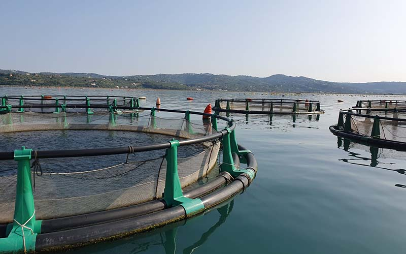 Im Fischgarten (Foto © Žana Marijan)