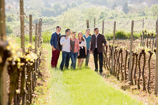 In die Grean gehen © Weinviertel Tourismus, Bartl)