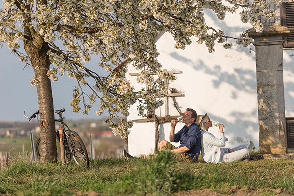In die Grean gehen © Weinviertel Tourismus, Bartl)