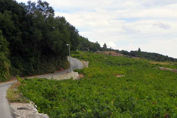 Der Weg in die Dörfer und zum Wein