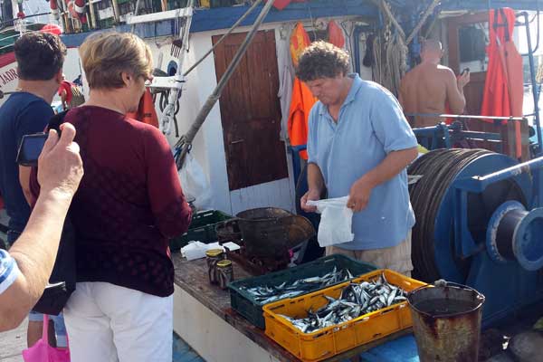Frischen Fisch gleich bei den Fischern kaufen