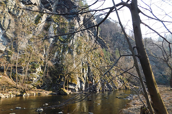 Am Kamp