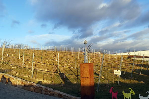Ausblick vom Weingut Hagn in die Landschaft 