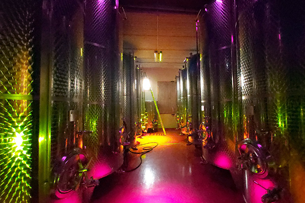 Discobeleuchtung im Weinkeller 