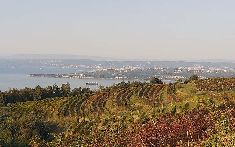 Wunderbare Aussicht auf das Meer und Izola