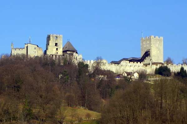 Blick auf die Burg von Celje