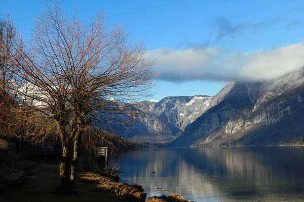 Der Bohinjer See