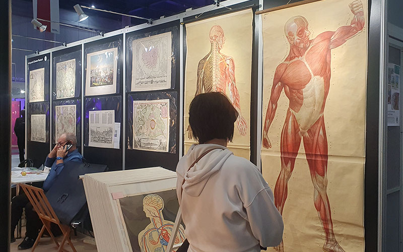 Blick ins Antiquariat