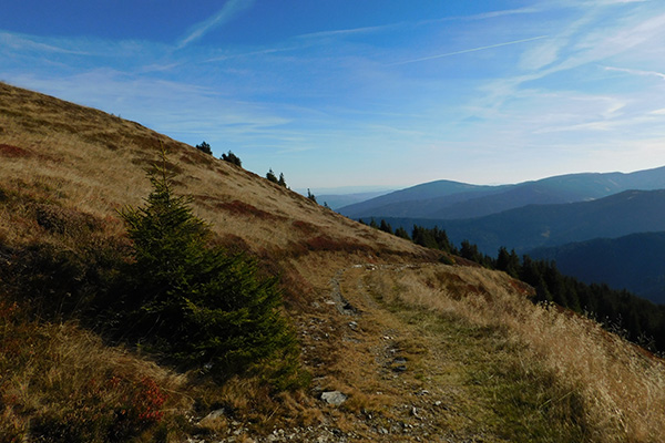 Nicht jeder Weg in den Bergen ist gerade :-)