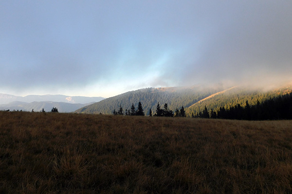 Blick in die Umgebung