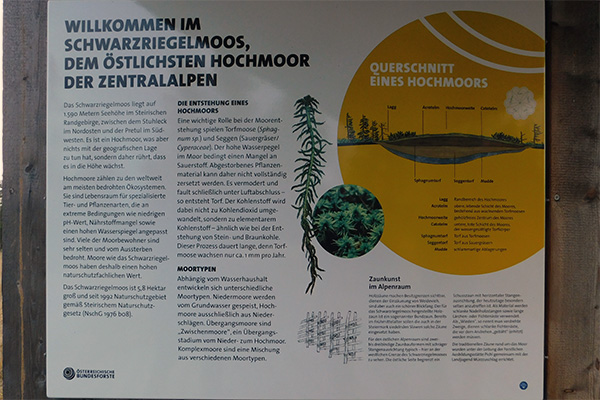 Informationstafeln erzählen viel Wissenswertes über das Hochmoor