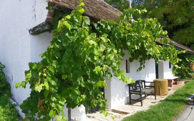 Gemütlich am Galgenberg