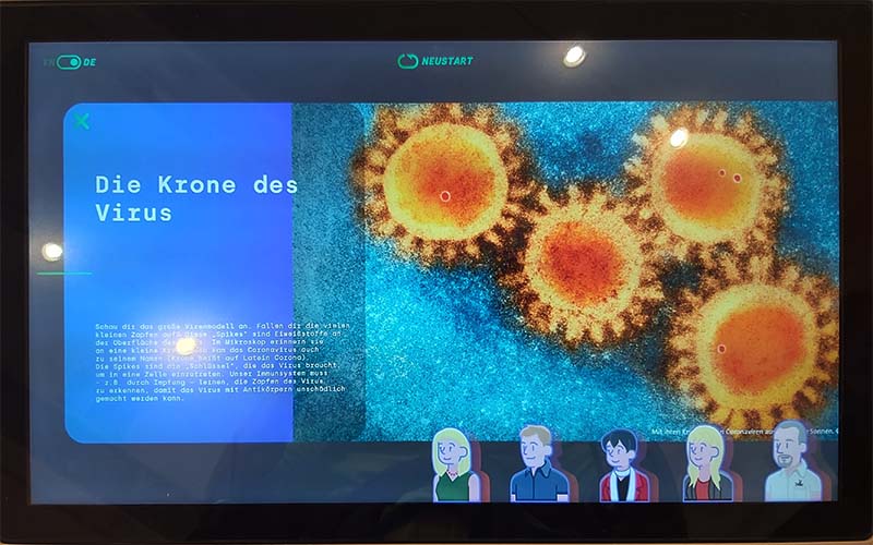 Die Krone des Corona-Virus