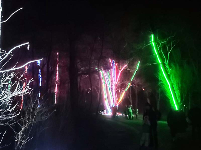 Im Lichtergarten singen sogar die Bäume