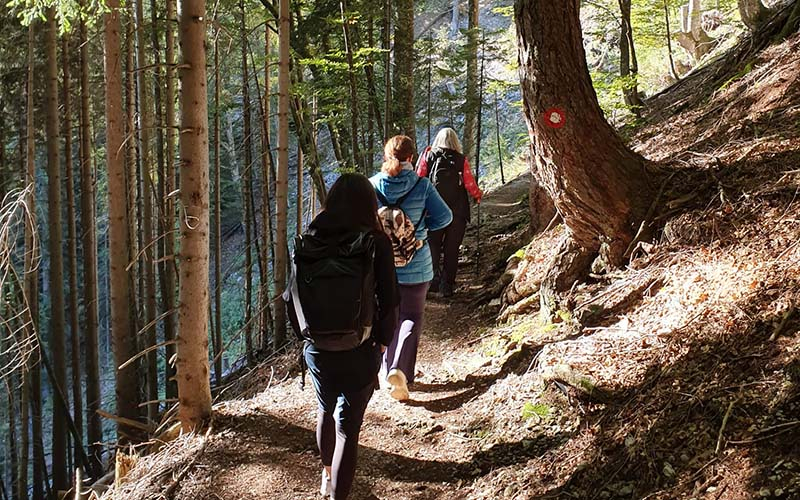 Lange Zeit ging es durch den Wald dahin