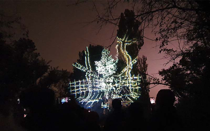 Wiener Lichtblicke beim Spaziergang am Konstantinhügel