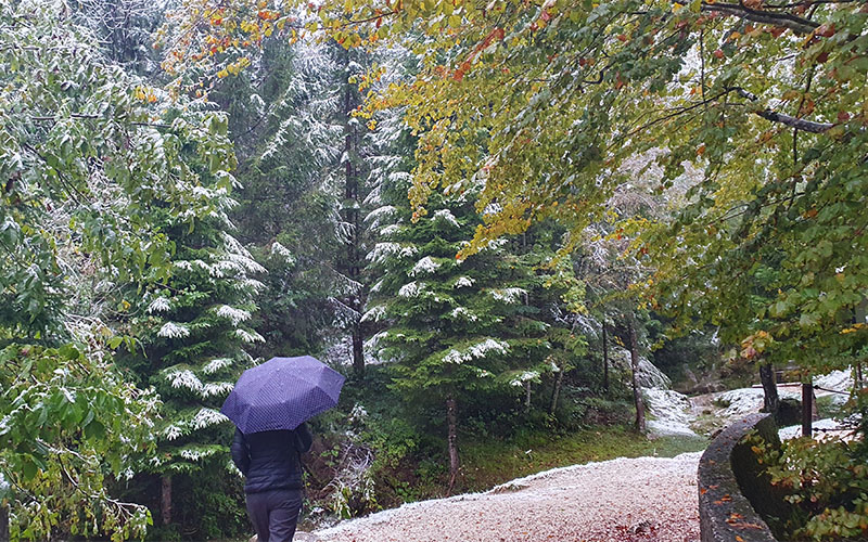 Zuerst ist alles angezuckert, aber dann setzt sich der Regen durch