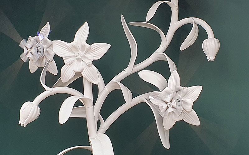 Lieder kann man am Foto den kleinen Kolibri gar nicht erkennen