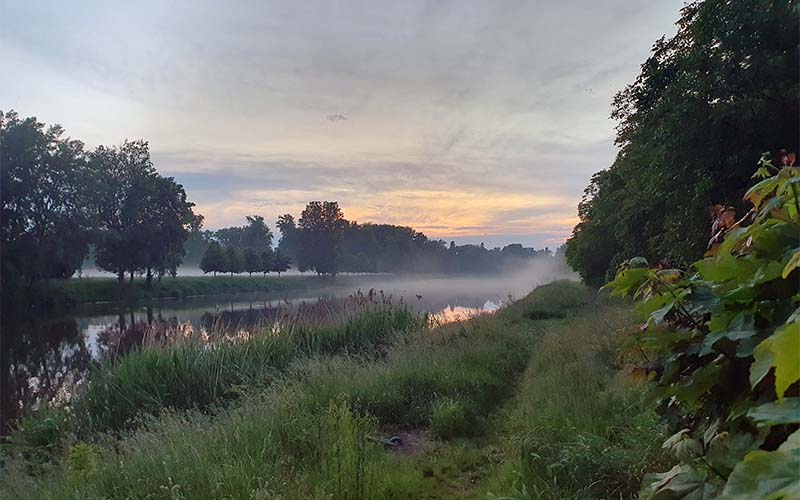 Die Elbe am Nachmittag