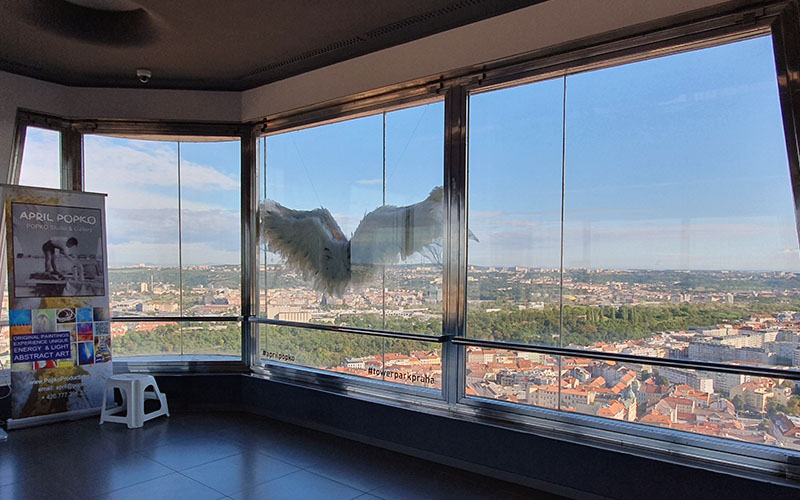 Ausblick auf der Aussichtsplattform