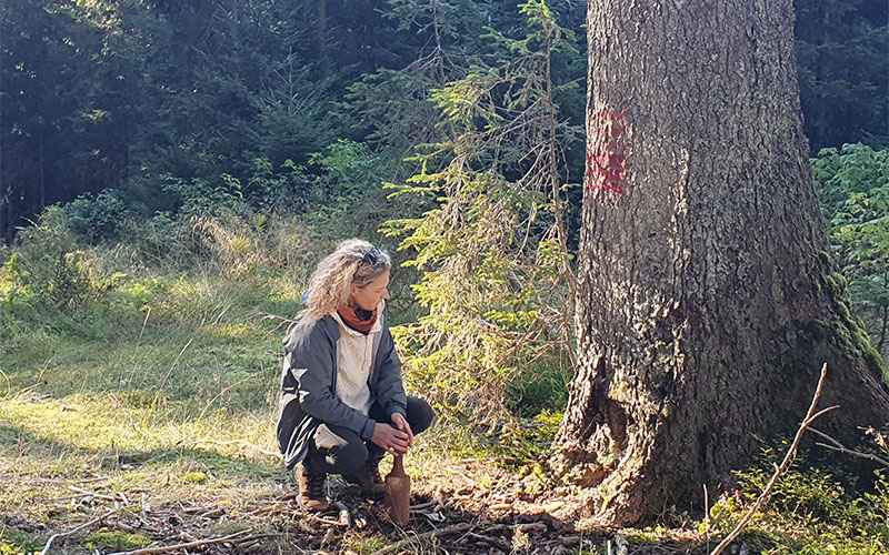 Jeder Baum klingt anders und manche "singen" ...