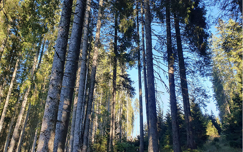 Blauer Himmel über uns ...