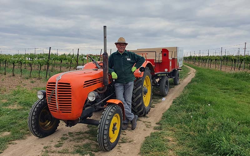 Mit dem Traktor in die Weingärten