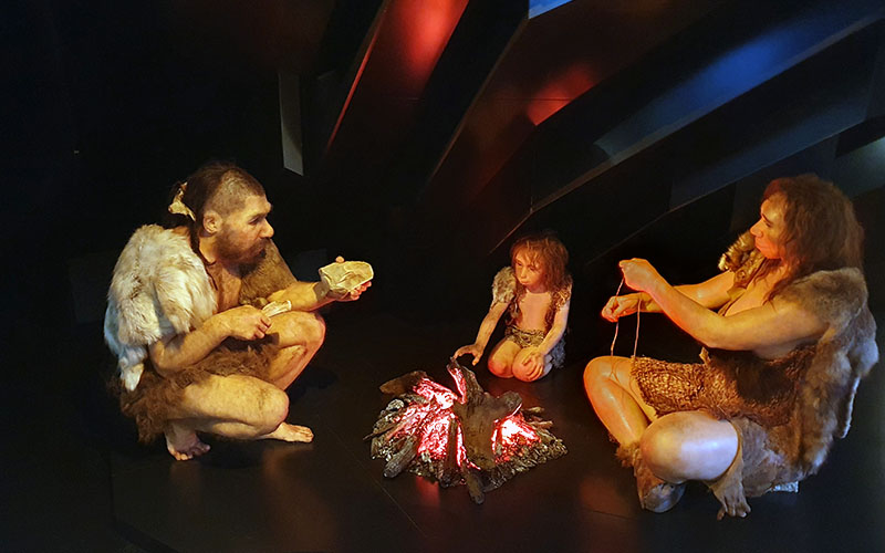 Menschen und ihre Vorfahren