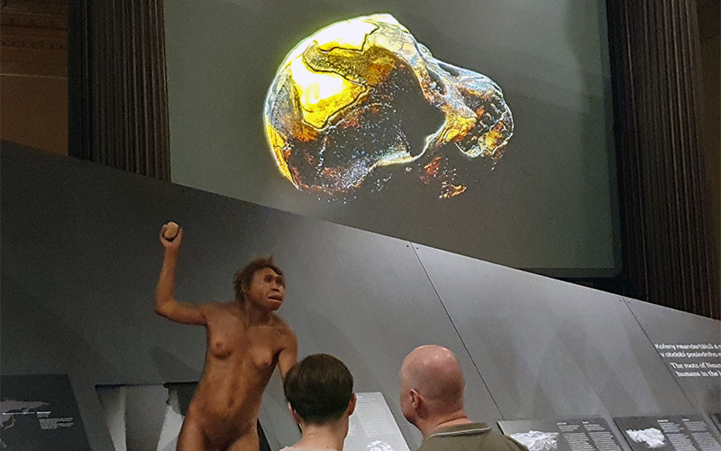 Menschen und ihre Vorfahren