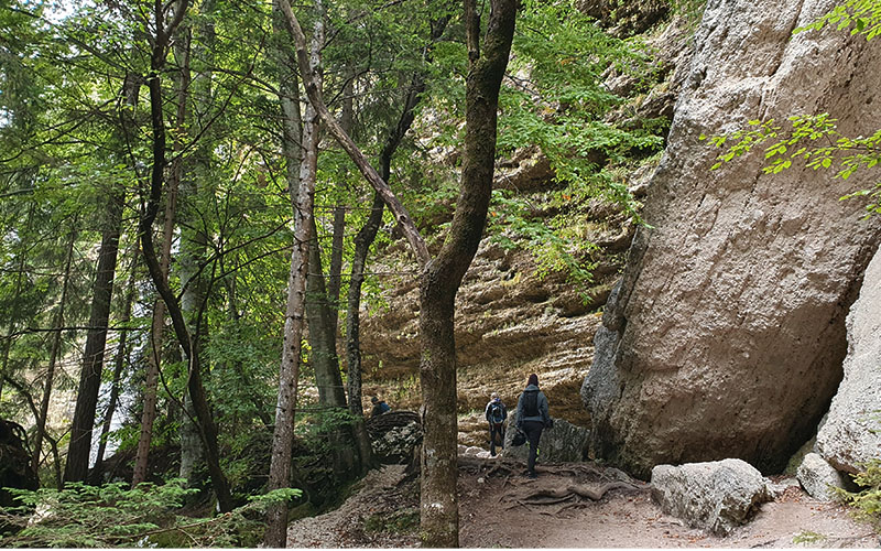 Jetzt geht es im Wald zu Fuß Richtung Wasserfall