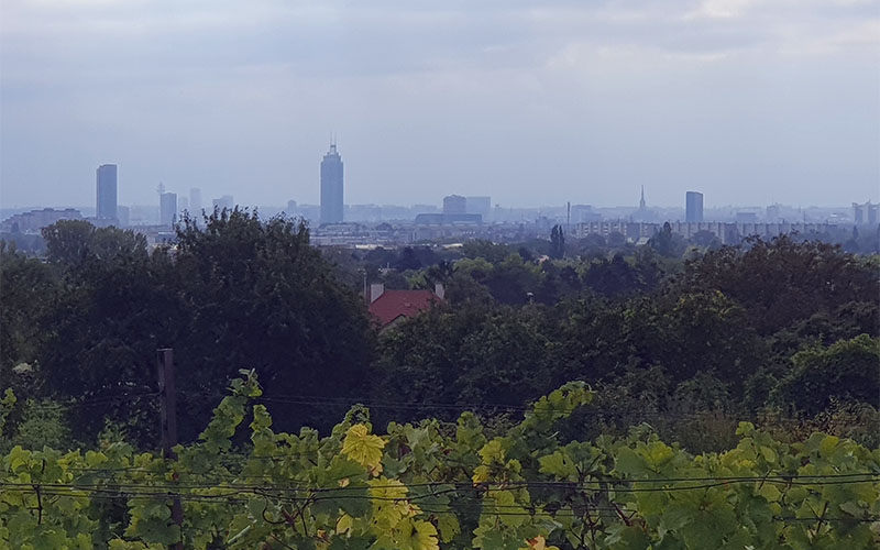 Der Blick nach Wien war etwas diesig
