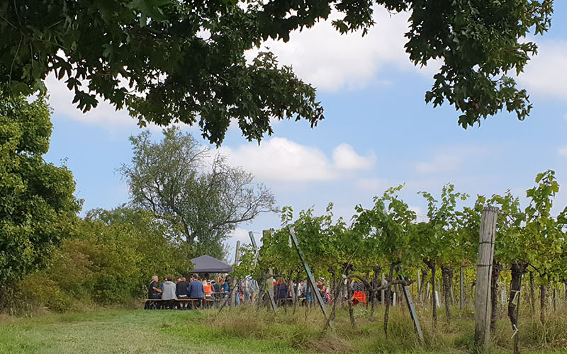 Ein schöner Platz zum Rasten