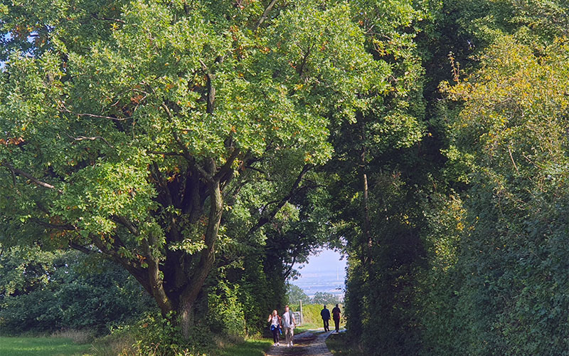 Am Falkenberg