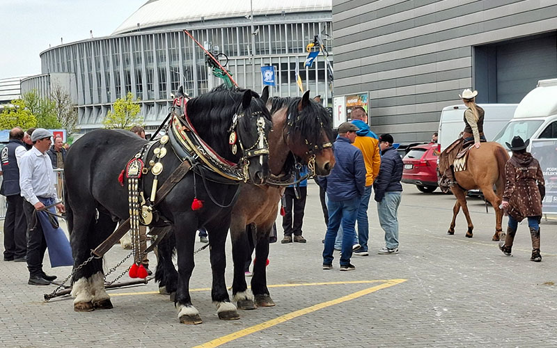 Vor der Halle warten sie auf ihren Einsatz