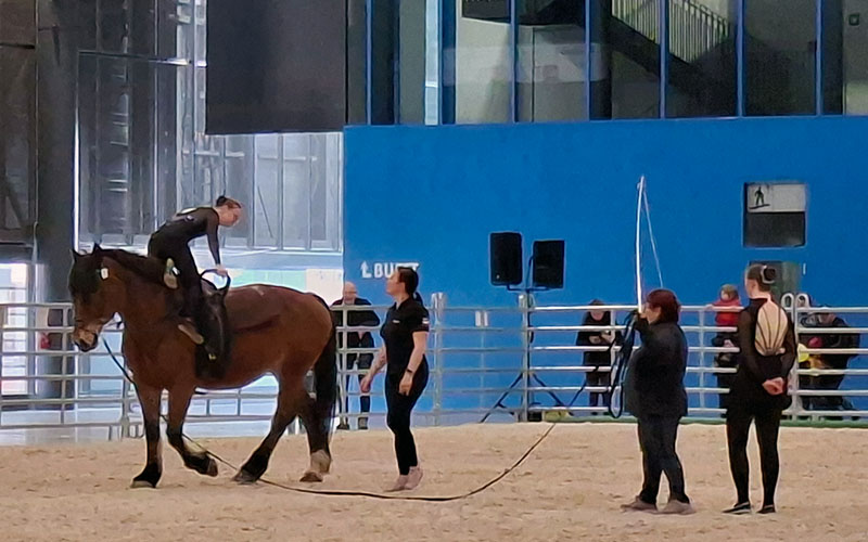 Kunststücke auf dem Pferderücken