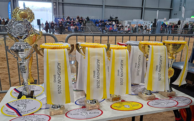 Die Preise warten auf die Sieger