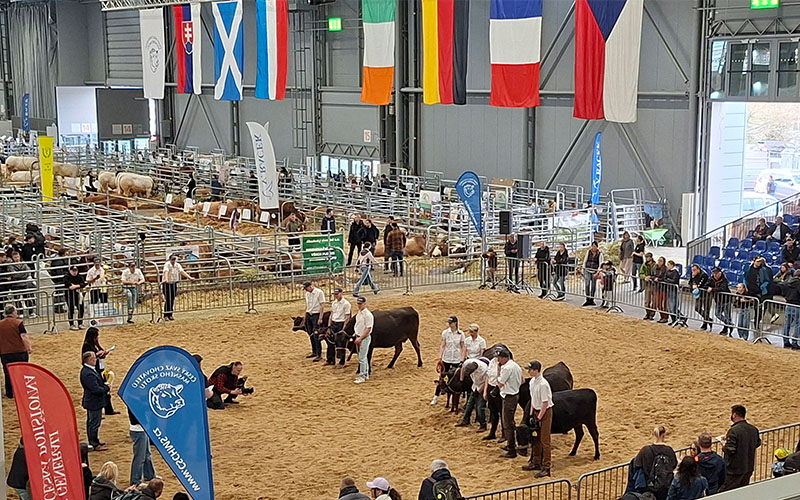 Eine der Vorführungen