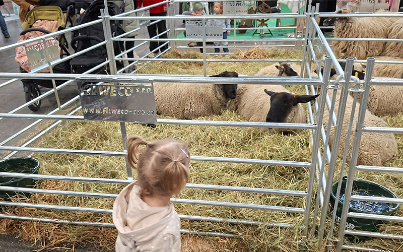 Gerne würde man alle streicheln