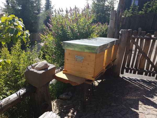 Die "Hotelbienen"