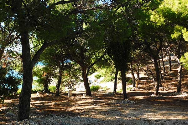 Camping Adriatic in Primošten