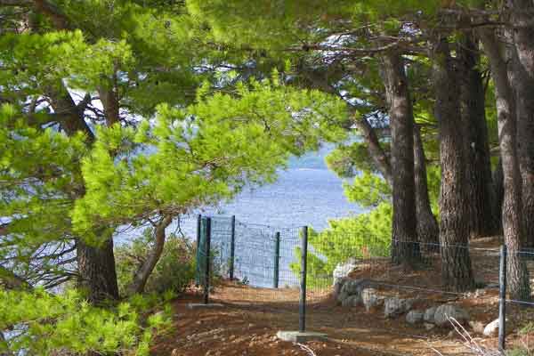 Hier gehts zum Meer - Campingplatz Dole