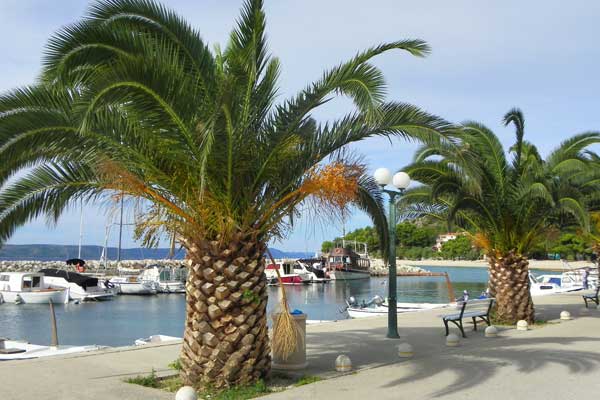 Campingplatz Dole in Živogošće 