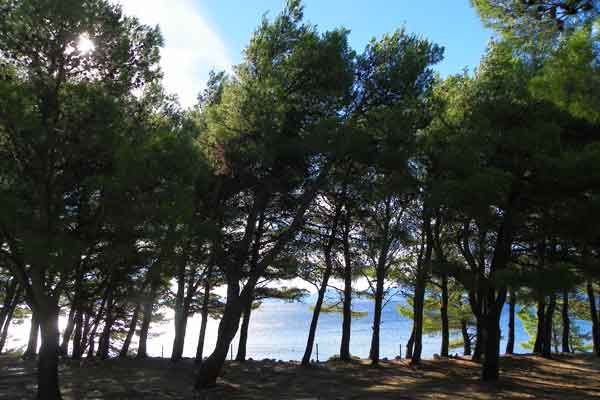 Campingplatz Dole in Živogošće 