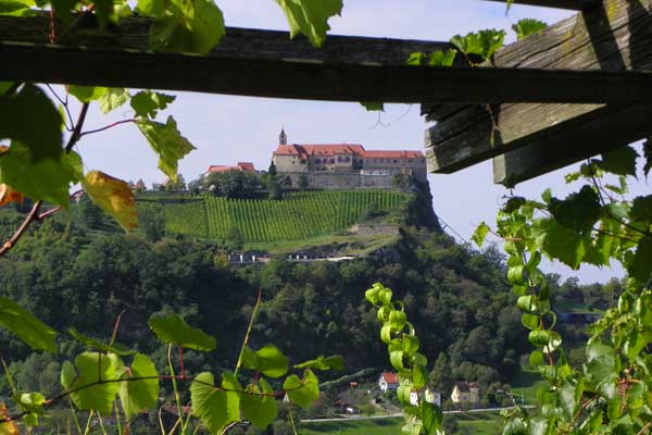 Blick auf die Riegersburg vom Garten aus