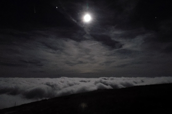 Auch der Mond schaut durch das Fenster