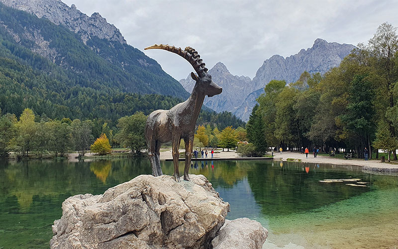 Blick auf den See