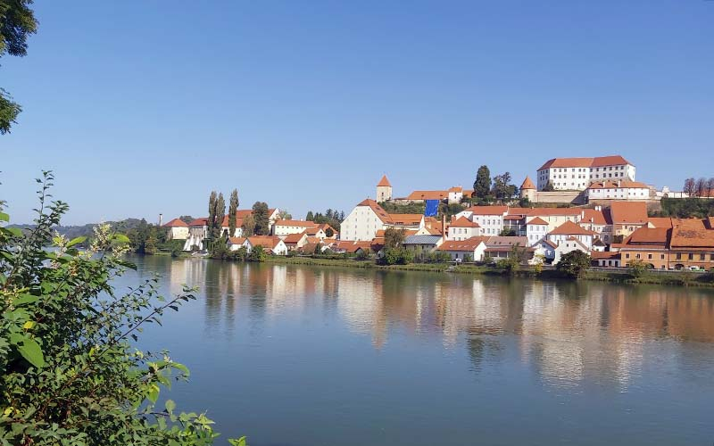 Blick auf das Schloss in Ptuj