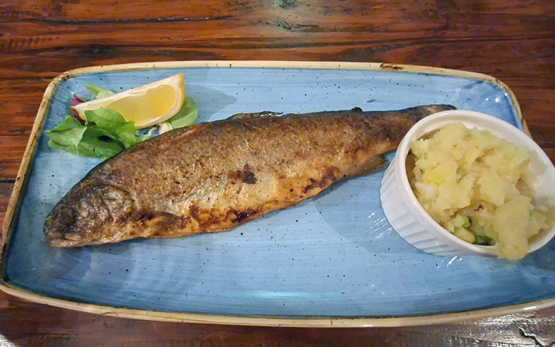 Forelle mit Erdäpfelsalat