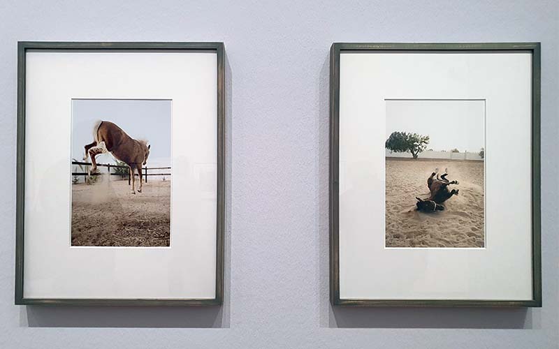 Blick in die Ausstellung