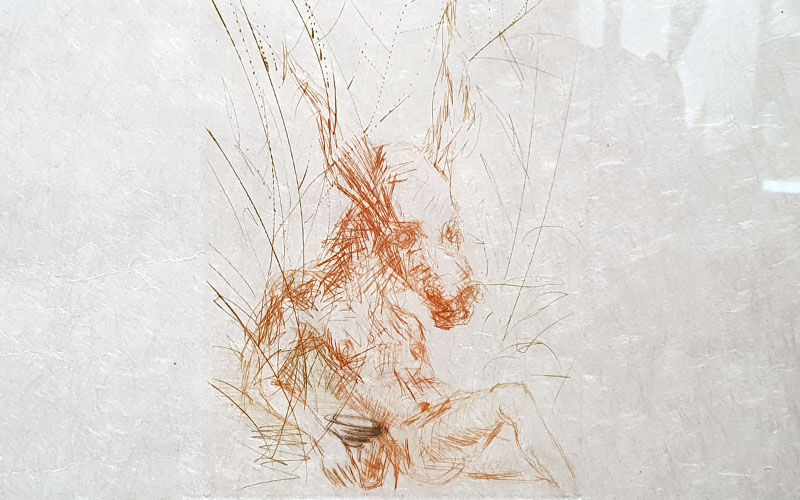 Dali32